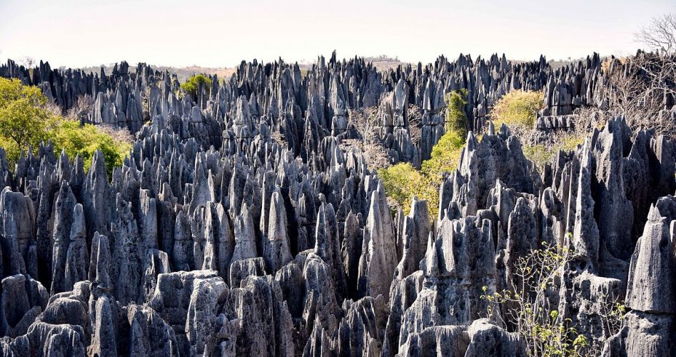 voyage_Madagascar_Bemaraha_tsingy